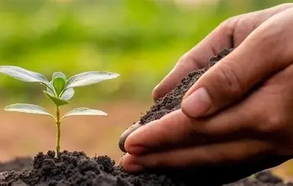 Rs1.3bn project planned to improve soil fertility, crop productivity