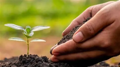 Rs1.3bn project planned to improve soil fertility, crop productivity