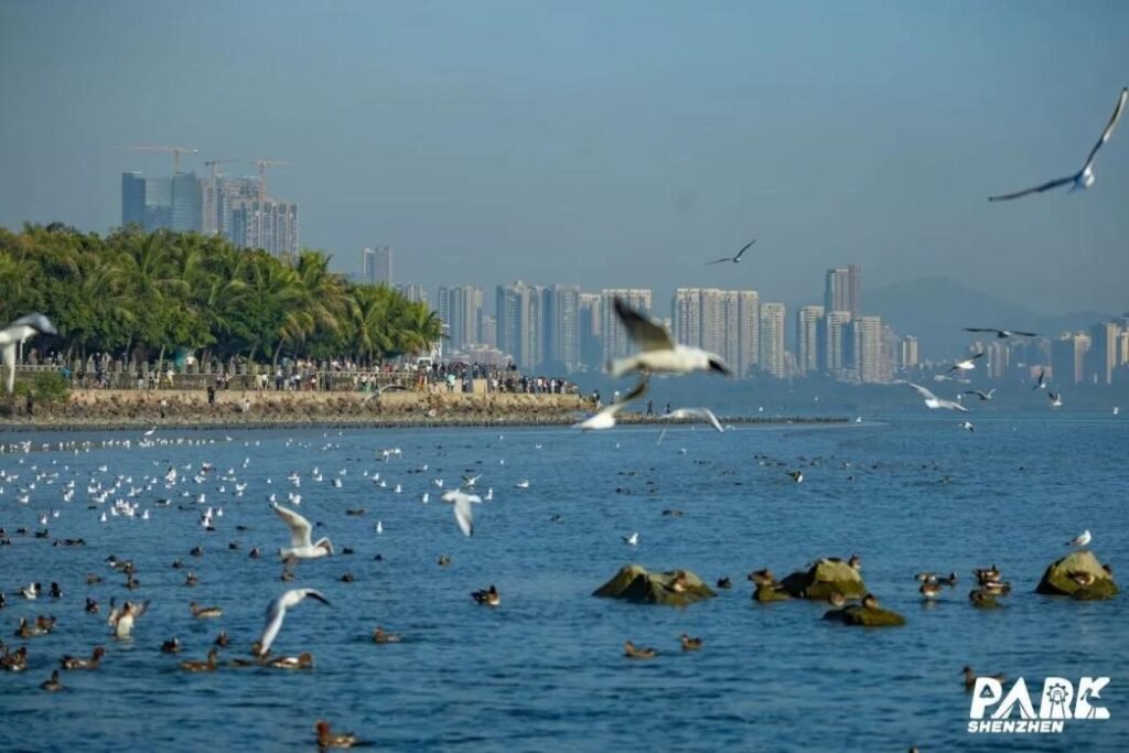 Shenzhen school transforms bird song complaint into valuable life lesson
