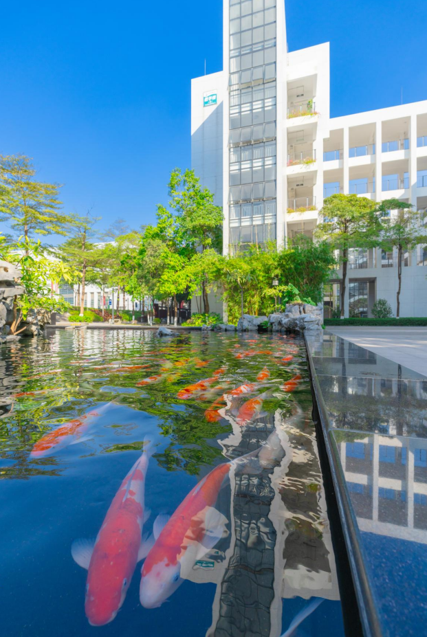 Shenzhen school transforms bird song complaint into valuable life lesson