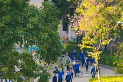 Shenzhen school transforms bird song complaint into valuable life lesson