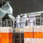 Small fruit, big reach: China's citrus goes global