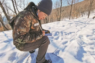 Female rangers brave snowy forests to protect tigers, leopards