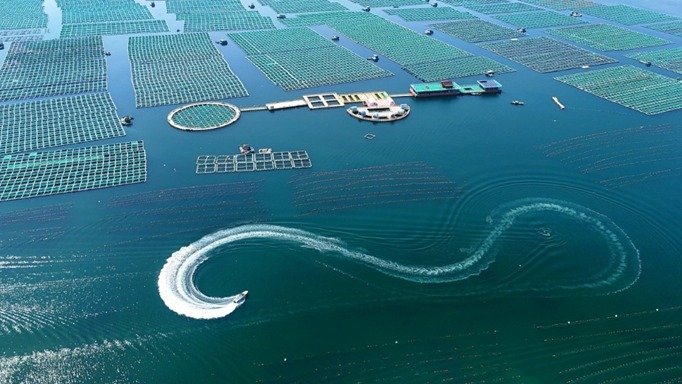 China’s smart blue economy model offers lessons for Pakistan