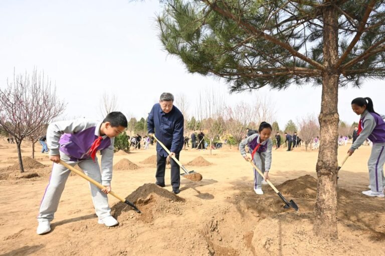 Xi Jinping participates in tree planting activity in Beijing promoting afforestation efforts