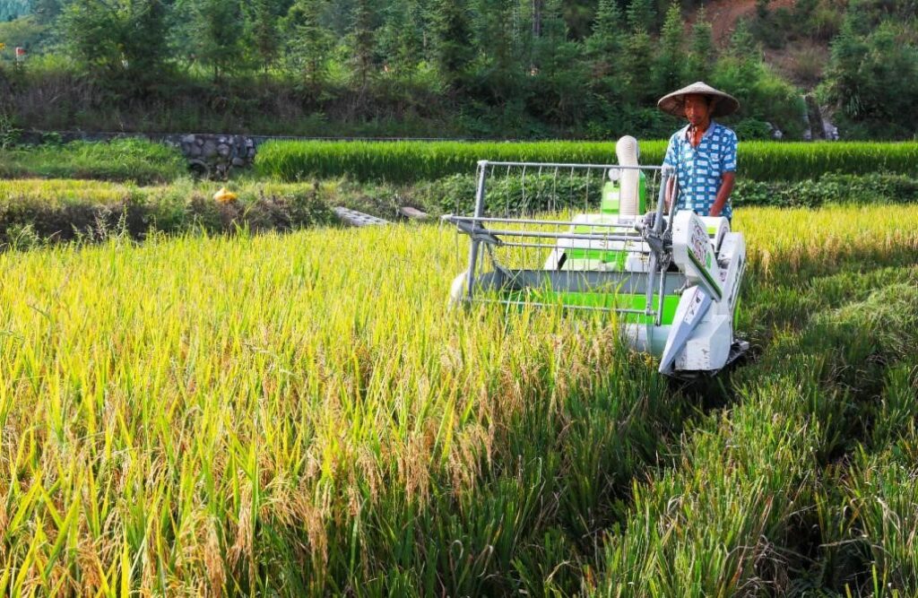Hunan's compact farm machinery gains momentum in global markets Hunan's compact farm machinery gains momentum in global markets