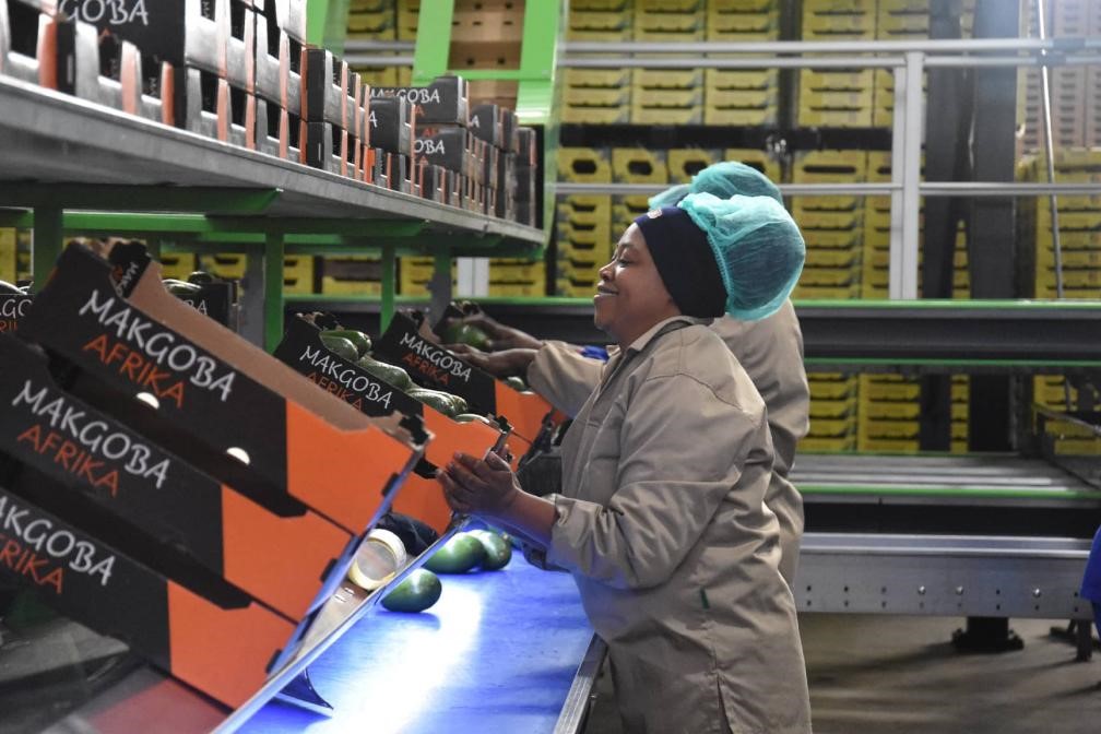 China's zero-tariff policy widely applauded in Africa 