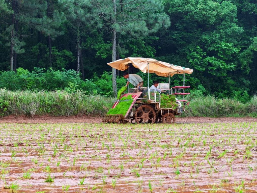 BeiDou navigation system powers China's agricultural transformation BeiDou navigation system powers China's agricultural transformation