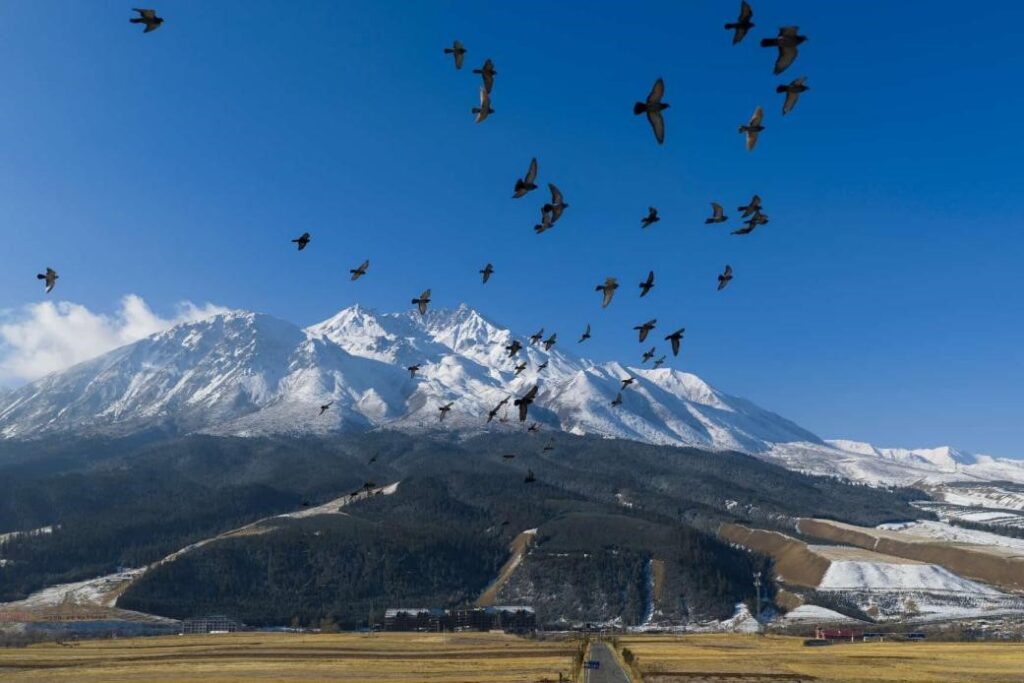 China's ecological protection red line system strengthens ecosystem protection China's ecological protection red line system strengthens ecosystem protection