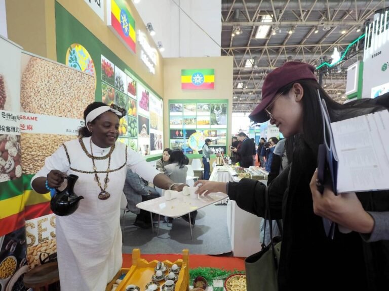 China's zero-tariff policy for Africa: a landmark in new era cooperation China's zero-tariff policy for Africa: a landmark in new era cooperation