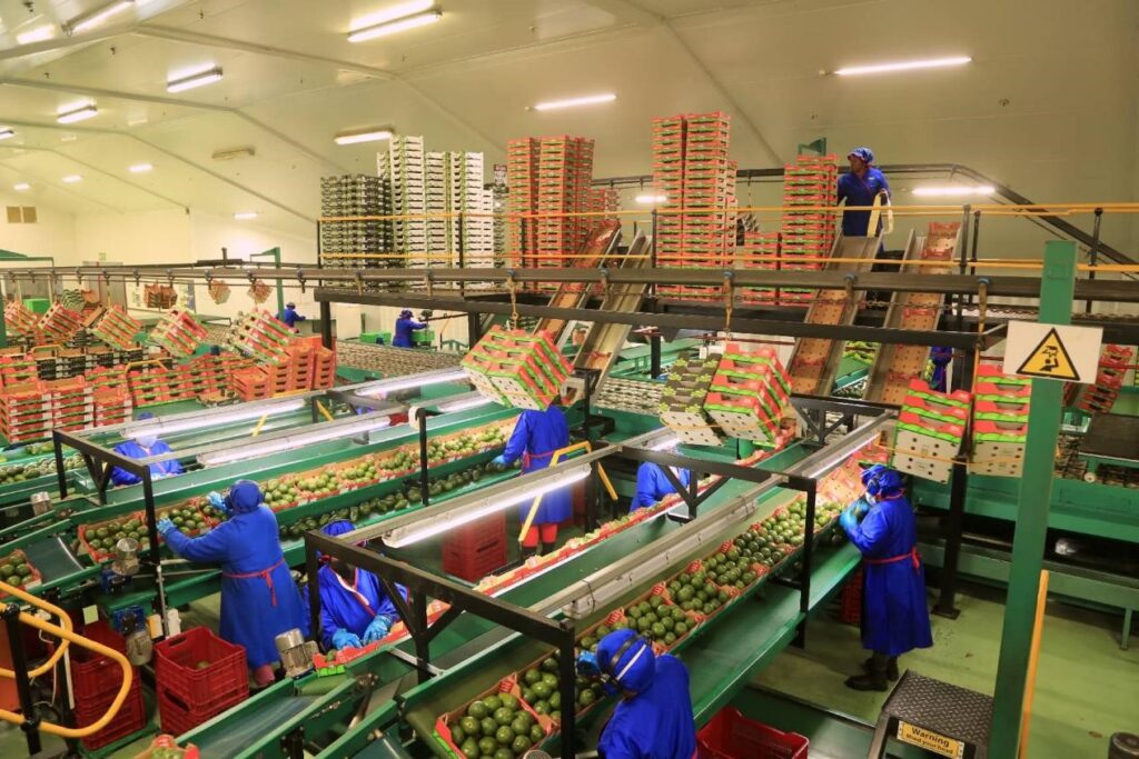 China's zero-tariff policy for Africa: a landmark in new era cooperation