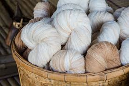Pakistan’s cotton and fiber exports weaken further during FY26, report shows