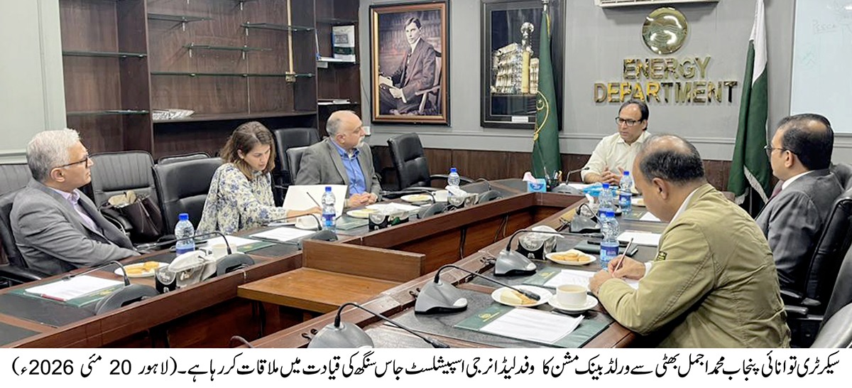 Punjab, World Bank discuss energy efficiency projects