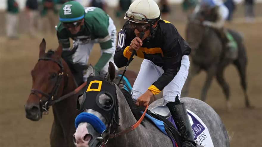 Napoleon Solo Wins 151st Preakness Stakes at Laurel Park
