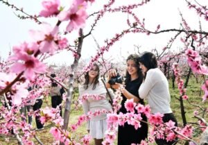 Beyond filtered narratives: China's genuine rural charm wins over global audiences Beyond filtered narratives: China's genuine rural charm wins over global audiences