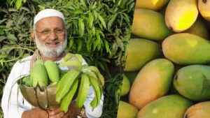 350 Mango Varieties on One Tree in India Draws Global Attention 350 Mango Varieties on One Tree in India Draws Global Attention