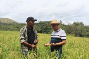 Rural development project in China showing how targeted poverty alleviation and industrial growth support poverty reduction.