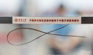 Ultra-fine lunar-soil fibers developed by Chinese researchers for future Moon base construction and space material testing.