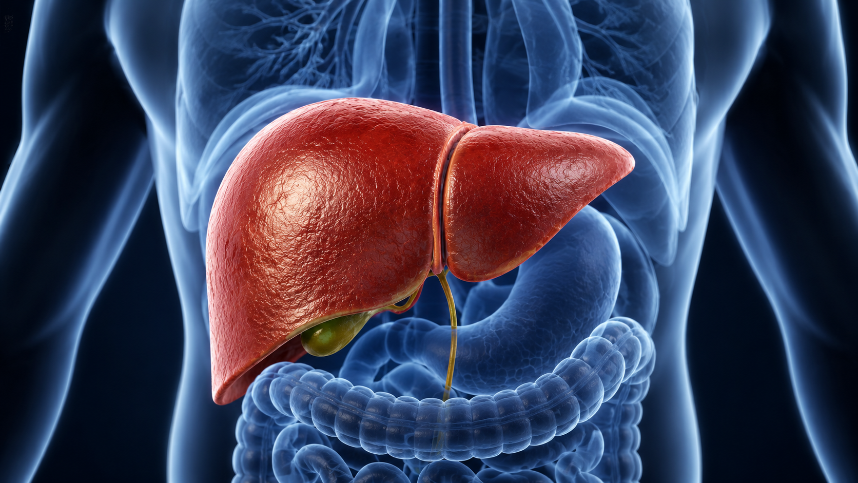 Study suggests artificial sweetener sorbitol may increase fatty liver disease risk