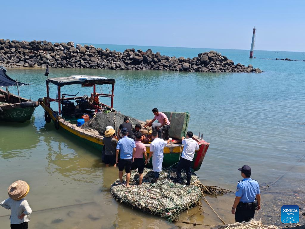 Chinese businessman survives seven days adrift at sea after accidental fall