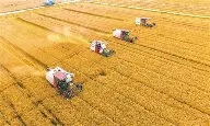 PCSIR laboratory upgrade project aimed at improving agricultural product testing for export markets in Pakistan
