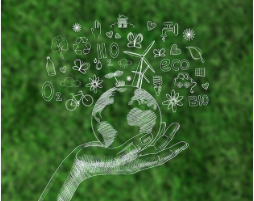 Pakistan to establish Green University to build climate-skilled workforce