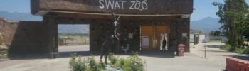 Animals at Swat Zoo as the facility faces uncertainty over funding and project extension approval.