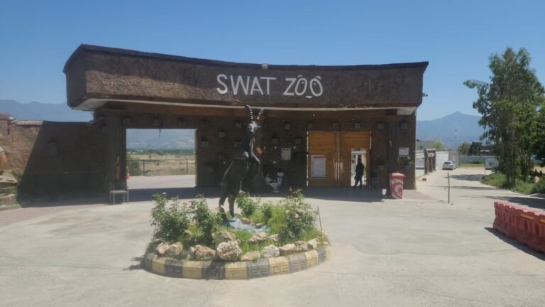 Animals at Swat Zoo as the facility faces uncertainty over funding and project extension approval.