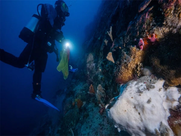 Antarctic bacteria shows potential in cancer treatment research, study finds