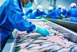 Pakistan fish processing plants approved for seafood exports to China under expanded trade access arrangements.