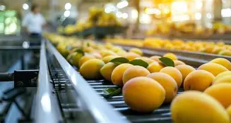 32 Pakistani mango processing, HWT facilities registered with China