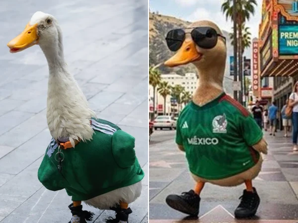 FIFA rules keep viral duck fan Merlín out of Mexico World Cup match