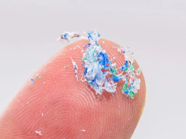 Scientists Detect Microplastics in Living Tissue for First Time