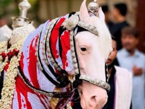 Karachi’s Historic Muharram Processions Keep Two Centuries of Memory Alive