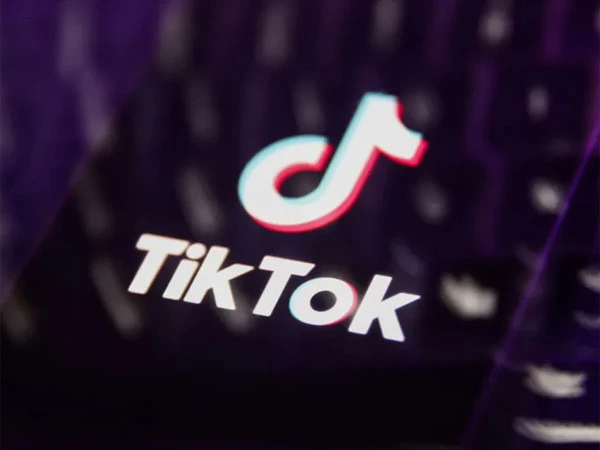 TikTok ban petition heard by the Peshawar High Court over concerns about social media content regulation.