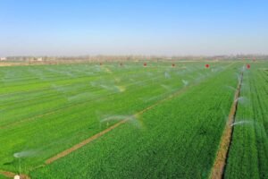 Technology transforms farming across China's fields Technology transforms farming across China's fields