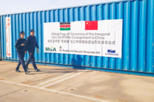 A single clove illustrates the benefits of China's zero-tariff policy for Africa A single clove illustrates the benefits of China's zero-tariff policy for Africa