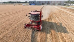 Technology transforms farming across China's fields Technology transforms farming across China's fields