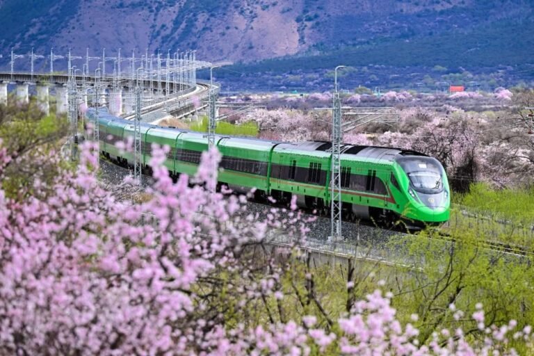 Lhasa-Nyingchi Railway: Five years fueling prosperity and development in Xizang A passenger train on the Lhasa-Nyingchi Railway connecting communities and supporting economic growth across Xizang.