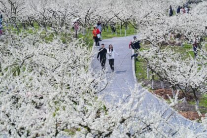 Foreign Tourists Flock to China’s Revitalized Countryside as Rural Tourism Booms
