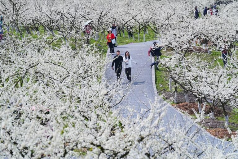Foreign Tourists Flock to China’s Revitalized Countryside as Rural Tourism Booms