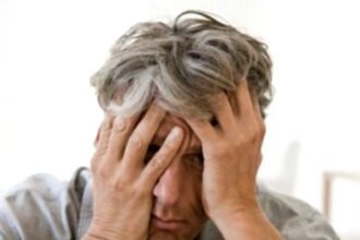 Fatty fish, berries, nuts and whole grains displayed as foods that may support memory and brain health.