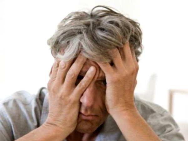 Fatty fish, berries, nuts and whole grains displayed as foods that may support memory and brain health.