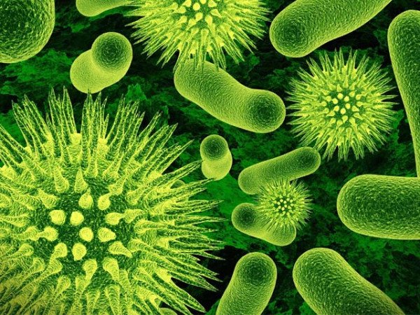 Influenza A Cases Rise Alongside COVID-19; Doctors Urge Precautions