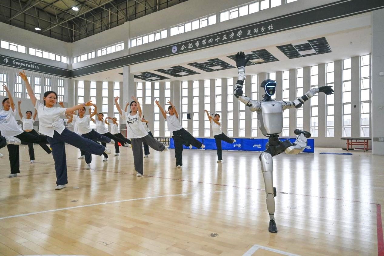 Why are Chinese robots both affordable and highly capable?
