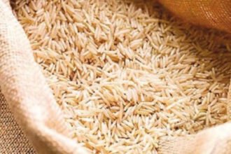 Pakistan completes six-year rice productivity enhancement project