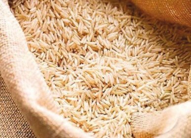 Pakistan completes six-year rice productivity enhancement project