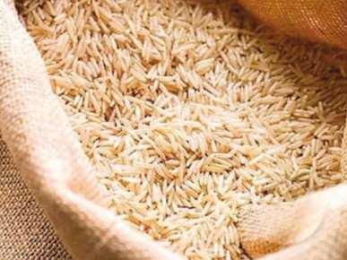 Pakistan completes six-year rice productivity enhancement project Pakistan completes six-year rice productivity enhancement project