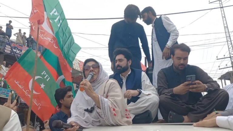 Aleema Khan Calls for Nationwide Movement for Imran Khan Release Aleema Khan addresses PTI workers in Lower Dir and urges them to prepare for a nationwide movement.