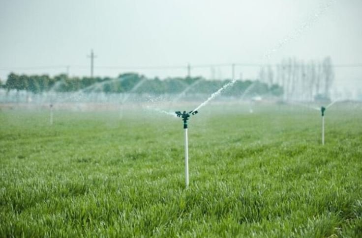 Pakistan Could Save More Water by Adapting China’s Efficiency Model